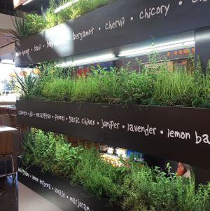 herb wall at LYFE Kitchen in Cupertino