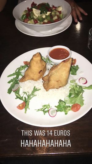 The Samosas dish - was explained 2 BIG samosas with rice and salad.  at Okarina in Bled