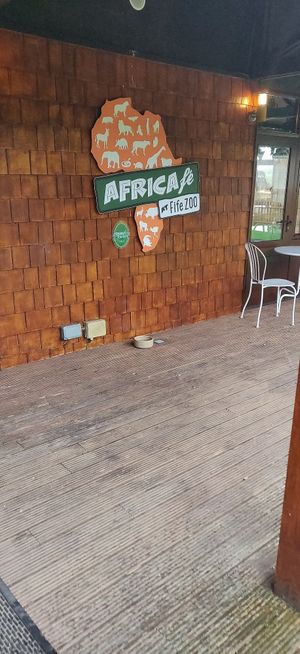 Hello at Africafe at Fife Zoo in Cupar