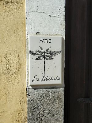 Localización at La Libelula in Cordoba