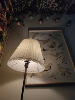  at Mimimi in Granada