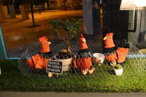 Mimimi hen at Mimimi in Granada