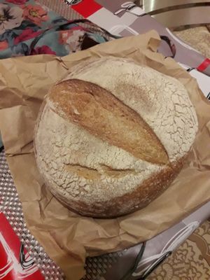 sourdough from V&V at The V & V Cafe in Glasgow