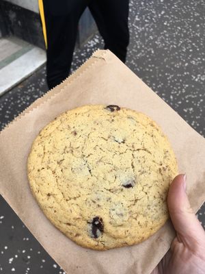 Chocolate Orange Cookie at The V & V Cafe in Glasgow