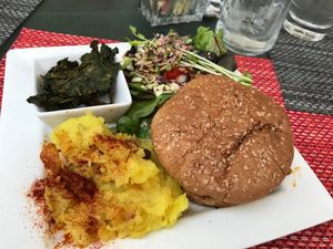 Curry burger with salad, kale chips and coconut mash potatoes at Green Door Cafe in La Jolla