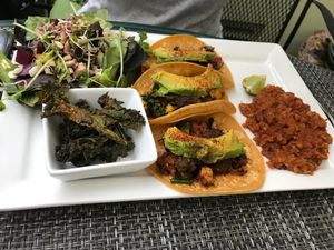 Tiny but tasty tacos, salad, kale chips and lentils. All excellent! at Green Door Cafe in La Jolla