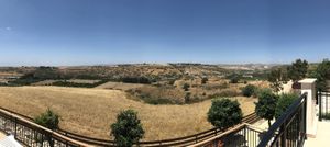 view at The Farriers Vegan Bed & Breakfast in Kouklia