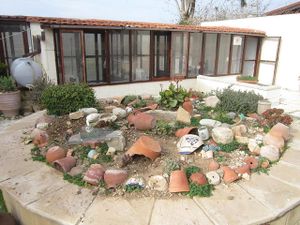 Cat Comfort Cattery, operated by the owners of The Farriers at The Farriers Vegan Bed & Breakfast in Kouklia