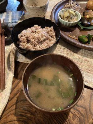   at Vegetus Sara in Kagoshima