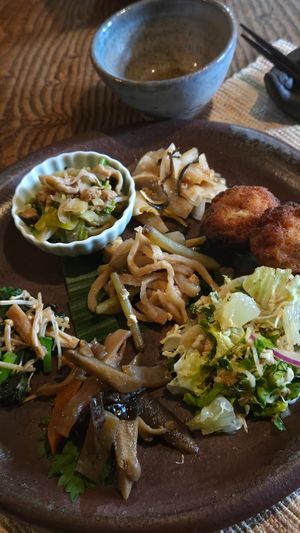  at Vegetus Sara in Kagoshima