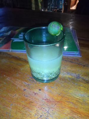 Famous organic juice. at Villa Sandra in Malapascua Island