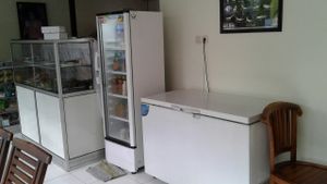 Vegan Frozen & Drink at Karuna Vittala Vegetarian in Batuan