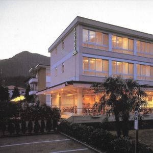 The restaurant at Hotel Rovere in Losone