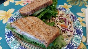 grilled cheese sandwich... cashew cheese at Joy's Place in Kihei