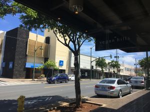 Metered or Street Parking in surrounding neighborhoods at Vegan Hills in Honolulu