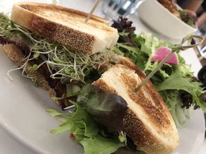 VLT at Vegan Hills in Honolulu