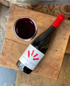 Vino Asturiano at Green Zone in Gijon