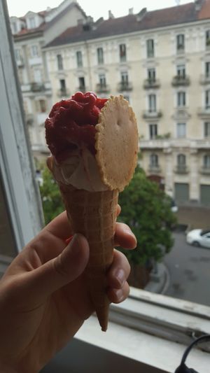 all vegan! at Gelateria Mondello - Emanuele Filiberto  - Maybe closed in Turin