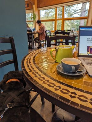  at Caffi Caban Cafe in Brynrefail