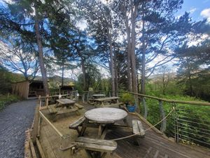 Caffi Caban Outdoor Seating at Caffi Caban Cafe in Brynrefail