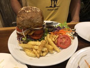   at Tofu Kitchen in Koh Chang