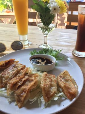 Gyoza- so tasty! at Tofu Kitchen in Koh Chang