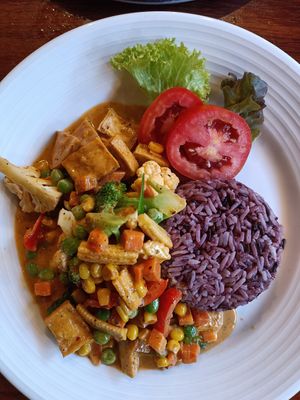 Red curry with tofu at Tofu Kitchen in Koh Chang