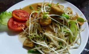 Stir fried bean sprouts with Tofu at Tofu Kitchen in Koh Chang