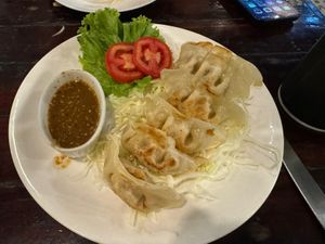 Gyoza  at Tofu Kitchen in Koh Chang