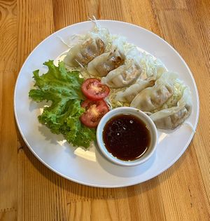 gyoza  at Tofu Kitchen in Koh Chang