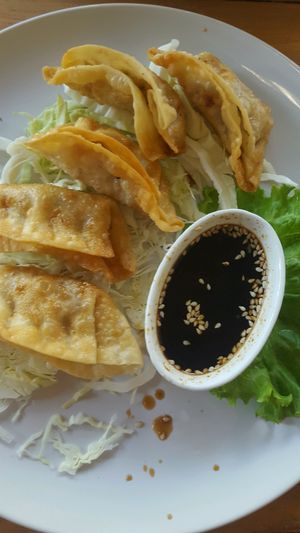 Gyoza at Tofu Kitchen in Koh Chang