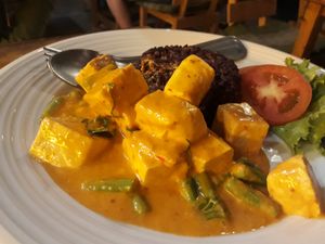 Curry and rice dish at Tofu Kitchen in Koh Chang