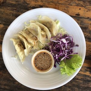 Best Gyozas ever at Tofu Kitchen in Koh Chang