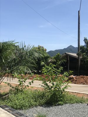 The view  at Tofu Kitchen in Koh Chang