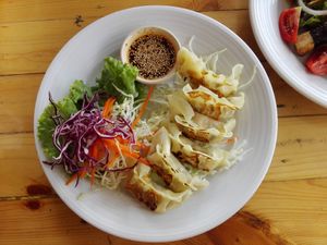 Yummy dumplings at Tofu Kitchen in Koh Chang