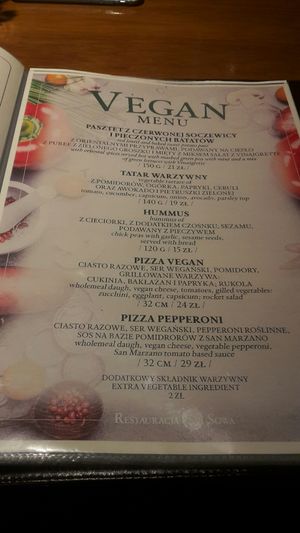 Vegan page on main menu at Sowa in Bydgoszcz