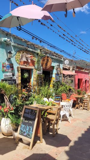 Outside 🥰 at Cafe Tango in Samaipata