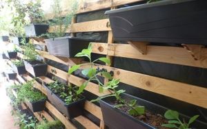 Jardim at Quinoa Real in Sao Paulo