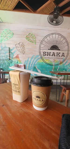  at SHAKA - Bohol in Panglao