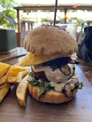   at SHAKA - Bohol in Panglao