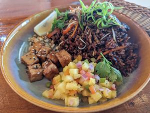 Brown rice with tofu. at SHAKA - Bohol in Panglao