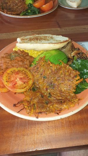  at SHAKA - Bohol in Panglao