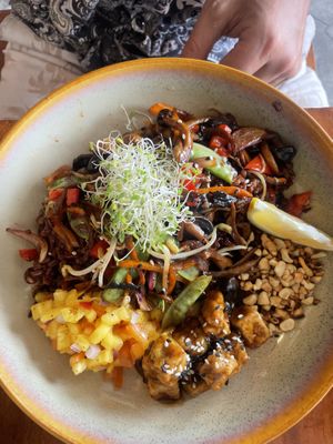 Mushroom and tofu with rice 6 pieces (small) of tofu   at SHAKA - Bohol in Panglao