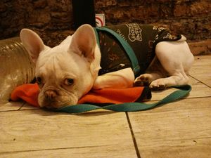  at Loving Hut - Palermo in Buenos Aires