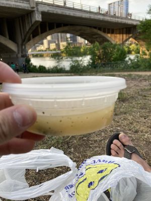 Vegan miso soup (size for reference; came free w entree) at Koriente in Austin