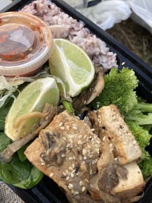 Tofu and mushrooms over rice and broccoli  at Koriente in Austin