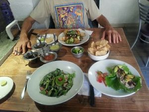 Salads, ceviche, oven roasted potatoes with veggies, in-house made salsas and corn chips 😋 #Veganuary at Don Taco Tequila in San Miguel De Allende