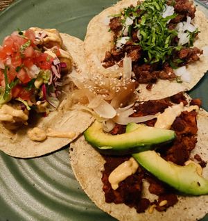 Lots of taco varieties   at Don Taco Tequila in San Miguel De Allende