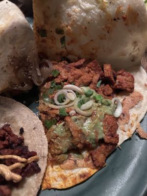 Gringa   at Don Taco Tequila in San Miguel De Allende