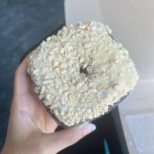 vanilla oreo at Valkyrie Doughnuts in Orlando